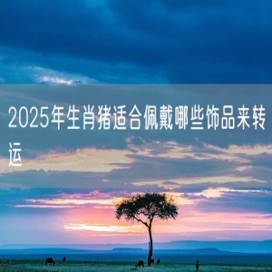 2025年生肖猪适合佩戴哪些饰品来转运