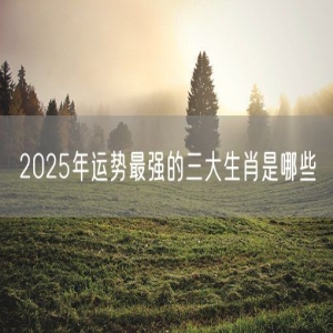 2025年运势最强的三大生肖是哪些