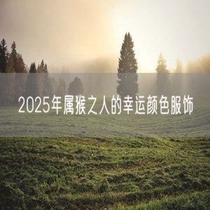2025年属猴之人的幸运颜色服饰