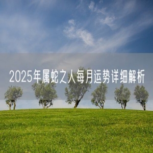 2025年属蛇之人每月运势详细解析