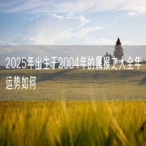 2025年出生于2004年的属猴之人全年运势如何