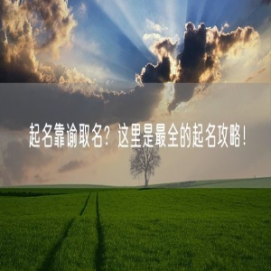 起名靠谕取名？这里是最全的起名攻略！