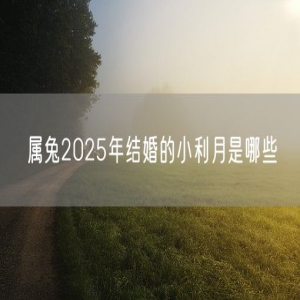 属兔2025年结婚的小利月是哪些