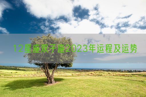 12星座双子座2023年运程及运势(图1)