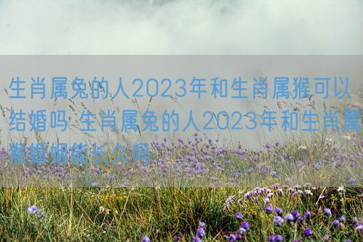 生肖属兔的人2023年和生肖属猴可以结婚吗 生肖属兔的人2023年和生肖属猴婚姻能长久吗(图1)