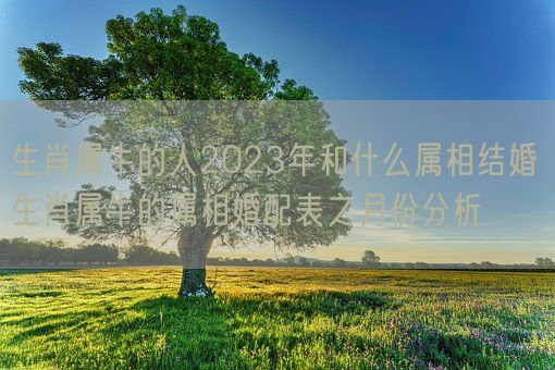 生肖属牛的人2023年和什么属相结婚 生肖属牛的属相婚配表之月份分析(图1)