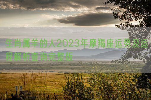 生肖属羊的人2023年摩羯座运势及运程解析查询完整版(图1)