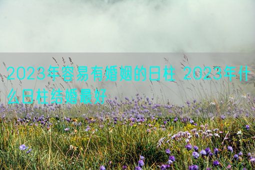 2023年容易有婚姻的日柱 2023年什么日柱结婚最好(图1)