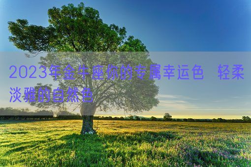 2023年金牛座你的专属幸运色  轻柔淡雅的自然色(图1)