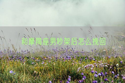 和摩羯座男吵架后怎么挽回(图1)