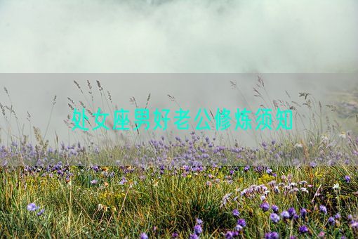 处女座男好老公修炼须知(图1)