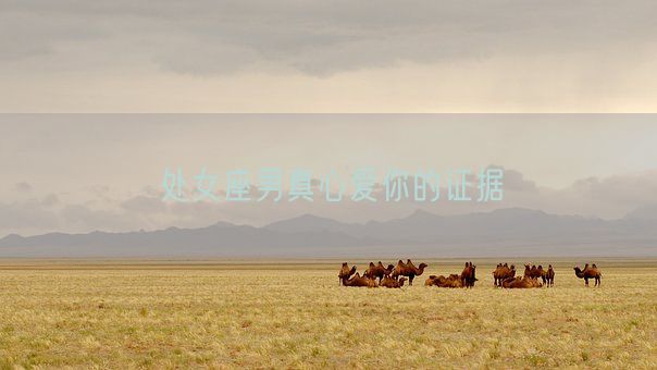 处女座男真心爱你的证据(图1)