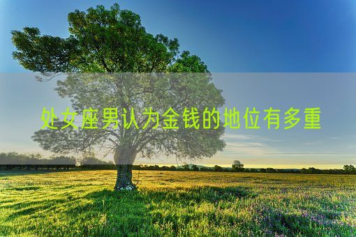 处女座男认为金钱的地位有多重(图1)