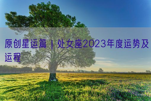 原创星运篇｜处女座2023年度运势及运程(图1)