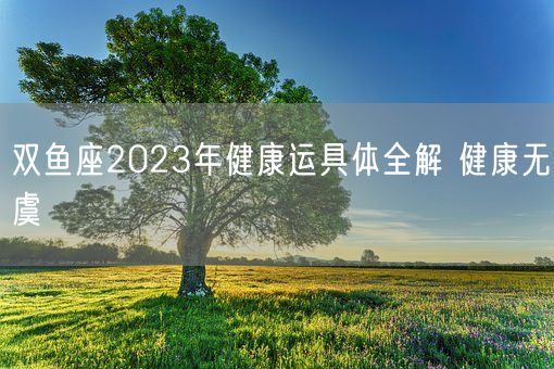 双鱼座2023年健康运具体全解 健康无虞(图1)