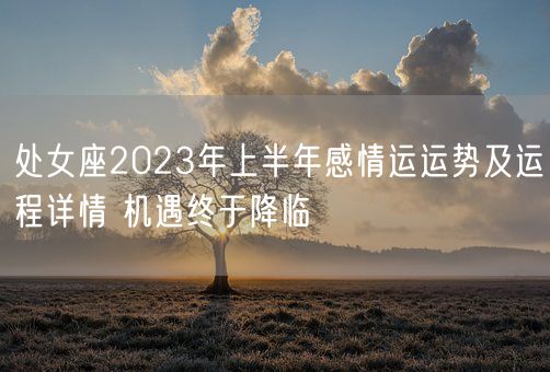 处女座2023年上半年感情运运势及运程详情 机遇终于降临(图1)