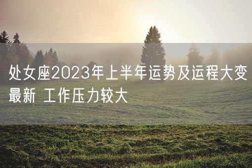 处女座2023年上半年运势及运程大变最新 工作压力较大(图1)