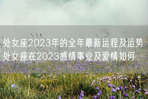 处女座2023年的全年最新运程及运势 处女座在2023感情事业及爱情如何 (图1)