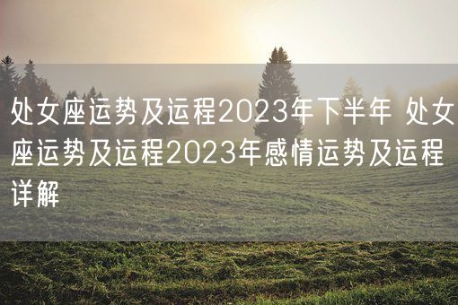 处女座运势及运程2023年下半年 处女座运势及运程2023年感情运势及运程详解(图1)