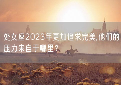 处女座2023年更加追求完美,他们的压力来自于哪里？(图1)