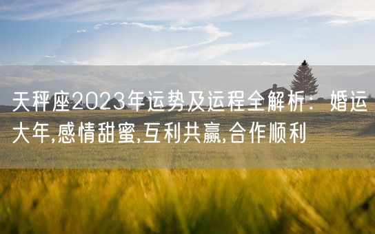 天秤座2023年运势及运程全解析：婚运大年,感情甜蜜,互利共赢,合作顺利(图1)