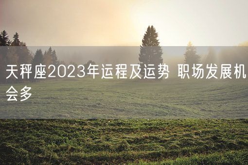 天秤座2023年运程及运势 职场发展机会多(图1)