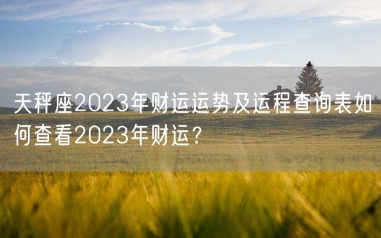 天秤座2023年财运运势及运程查询表如何查看2023年财运?(图1) 天秤座2023年财运运势及运程查询表如何查看2023年财运?(图1)