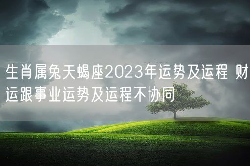 生肖属兔天蝎座2023年运势及运程 财运跟事业运势及运程不协同(图1)