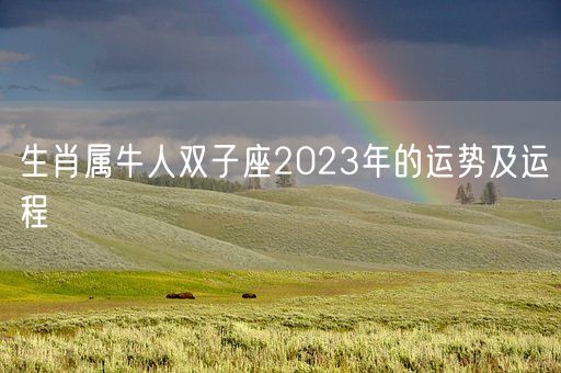 生肖属牛人双子座2023年的运势及运程(图1)