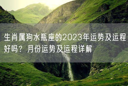 生肖属狗水瓶座的2023年运势及运程好吗？月份运势及运程详解(图1)