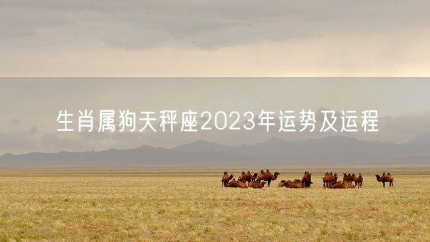 生肖属狗天秤座2023年运势及运程(图1)