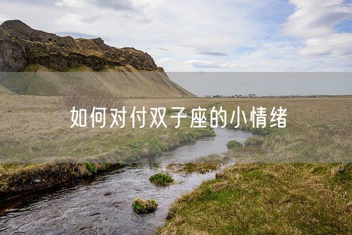 如何对付双子座的小情绪(图1)