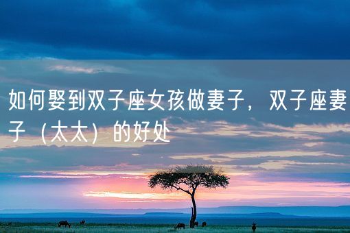 如何娶到双子座女孩做妻子，双子座妻子（太太）的好处(图1)