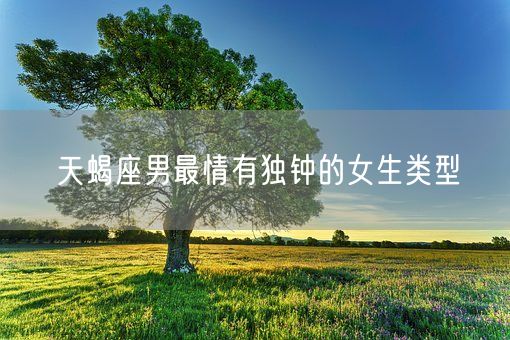 天蝎座男最情有独钟的女生类型(图1)