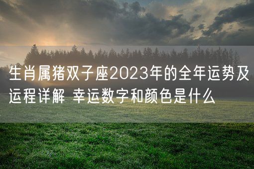 生肖属猪双子座2023年的全年运势及运程详解 幸运数字和颜色是什么(图1)