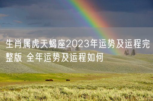 生肖属虎天蝎座2023年运势及运程完整版 全年运势及运程如何(图1)