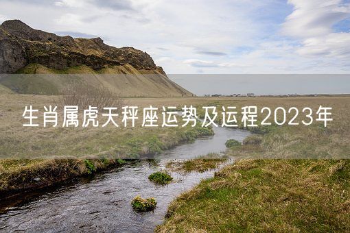 生肖属虎天秤座运势及运程2023年(图1)