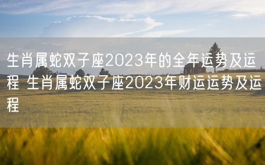 生肖属蛇双子座2023年的全年运势及运程 生肖属蛇双子座2023年财运运势及运程(图1)