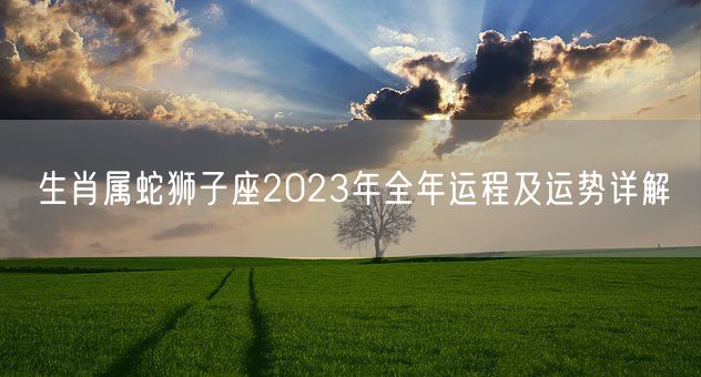 生肖属蛇狮子座2023年全年运程及运势详解(图1)