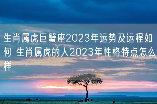 生肖属虎巨蟹座2023年运势及运程如何 生肖属虎的人2023年性格特点怎么样(图1)