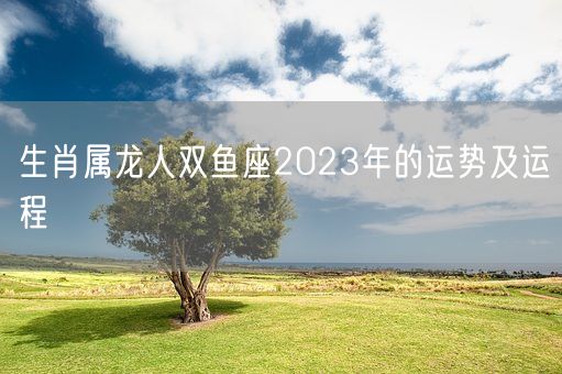 生肖属龙人双鱼座2023年的运势及运程(图1)