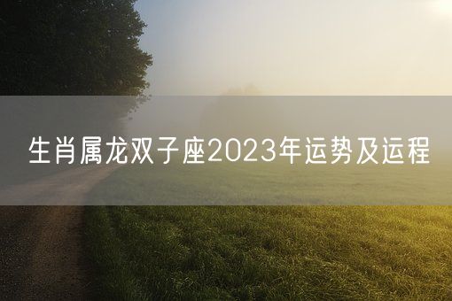 生肖属龙双子座2023年运势及运程(图1)