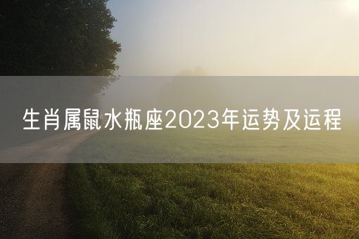 生肖属鼠水瓶座2023年运势及运程(图1)