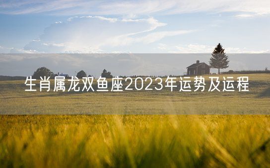 生肖属龙双鱼座2023年运势及运程(图1)