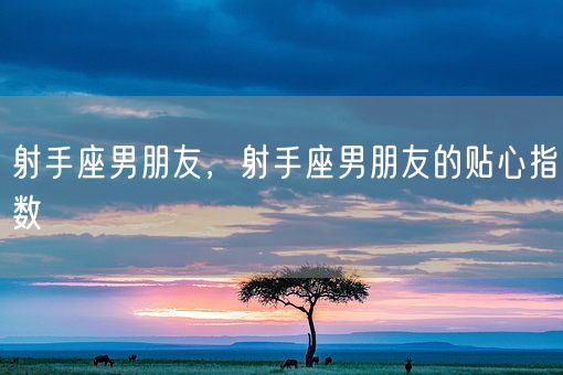 射手座男朋友，射手座男朋友的贴心指数(图1)