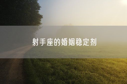 射手座的婚姻稳定剂(图1)