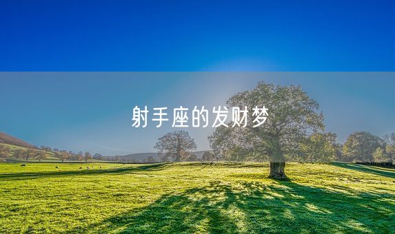 射手座的发财梦(图1)
