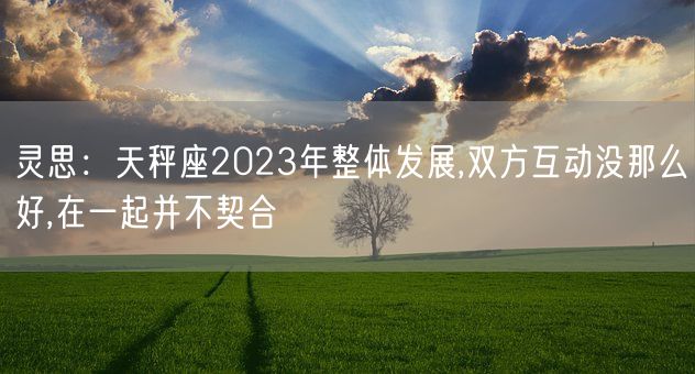 灵思：天秤座2023年整体发展,双方互动没那么好,在一起并不契合(图1)