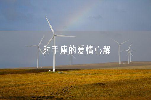 射手座的爱情心解(图1)