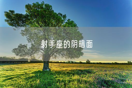 射手座的阴暗面(图1)